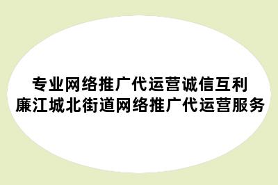 专业网络推广代运营诚信互利 廉江城北街道网络推广代运营服务